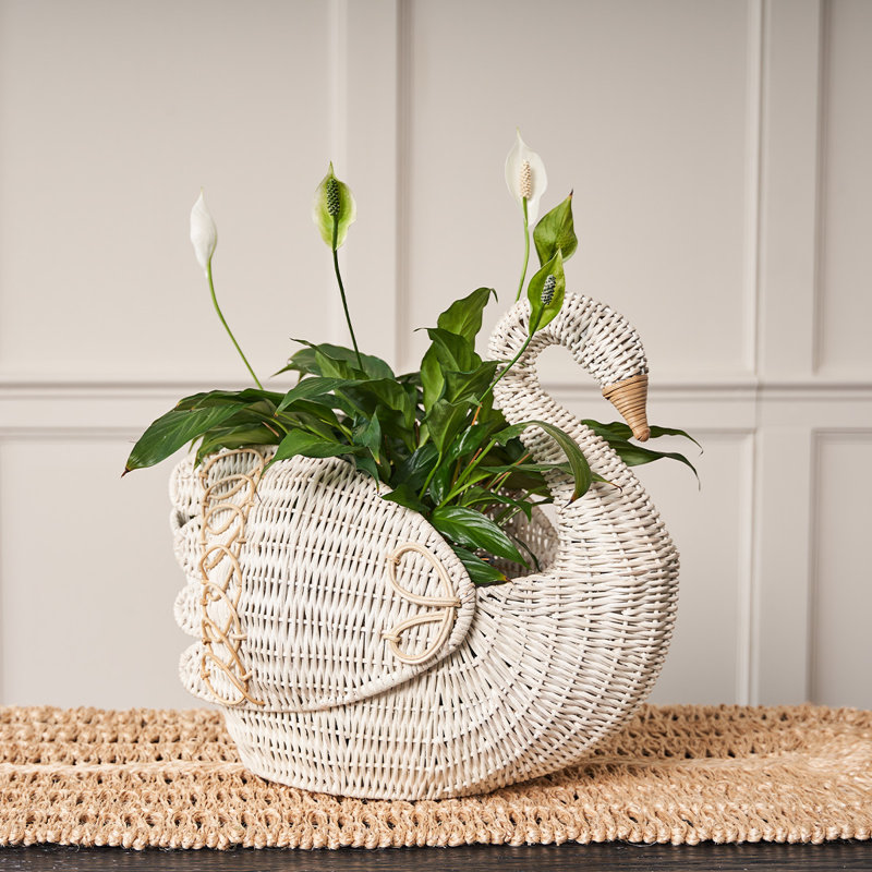 Juliska Provence Rattan Swan Basket & Reviews | Wayfair